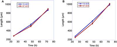 The Phenotypic and Transcriptomic Response of the Caenorhabditis elegans Nematode to Background and Below-Background Radiation Levels